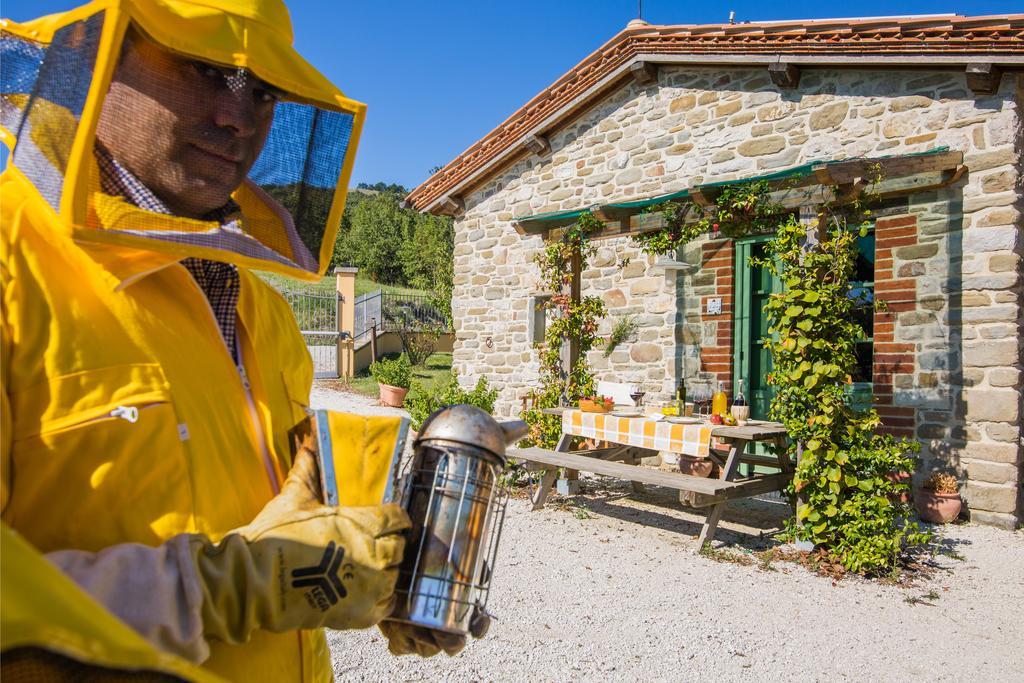 Agriturismo La Coccinella Valfabbrica Dış mekan fotoğraf