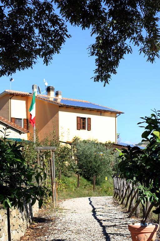 Agriturismo La Coccinella Valfabbrica Dış mekan fotoğraf