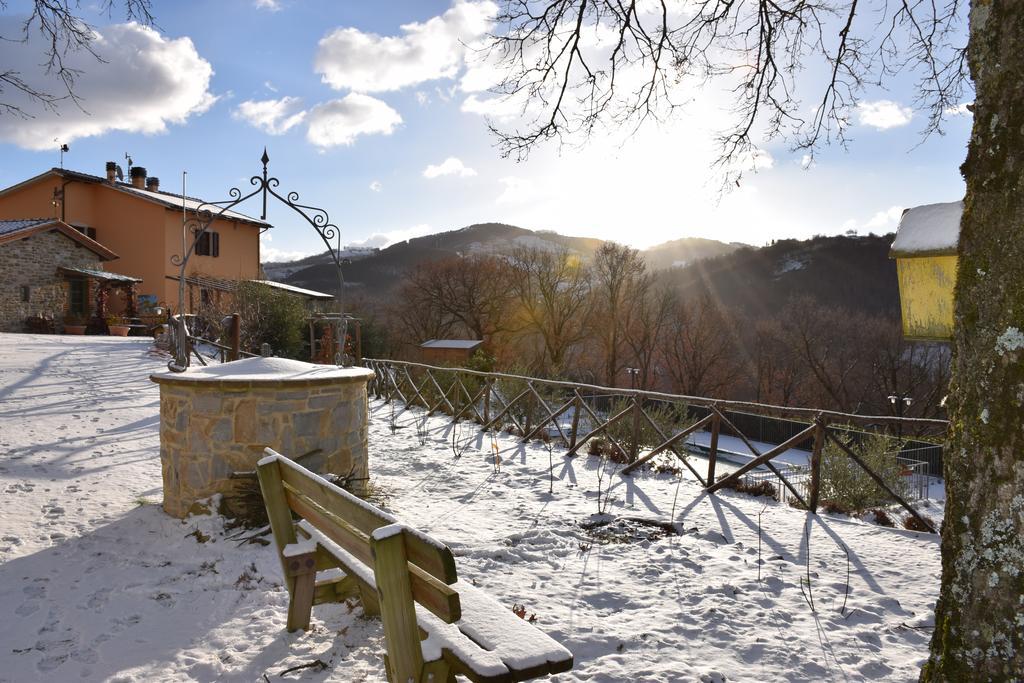 Agriturismo La Coccinella Valfabbrica Dış mekan fotoğraf
