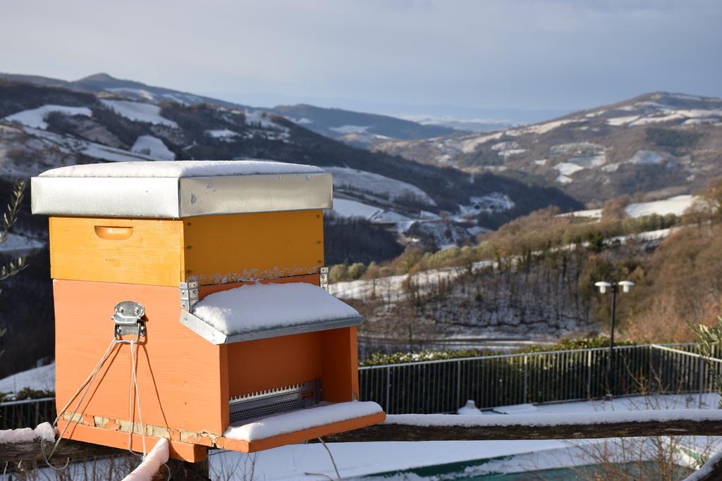 Agriturismo La Coccinella Valfabbrica Dış mekan fotoğraf