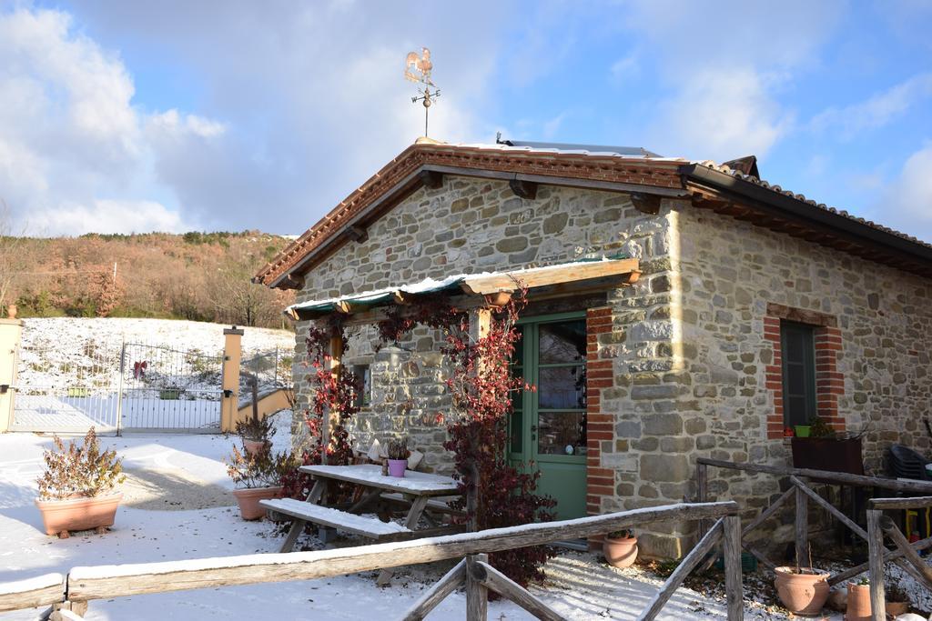 Agriturismo La Coccinella Valfabbrica Dış mekan fotoğraf