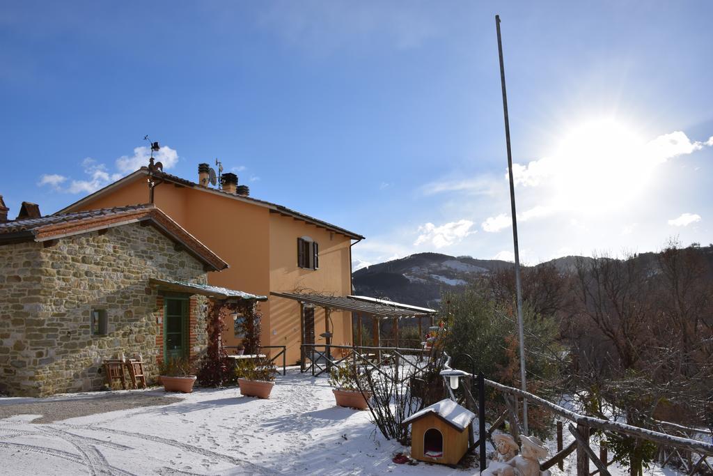 Agriturismo La Coccinella Valfabbrica Dış mekan fotoğraf